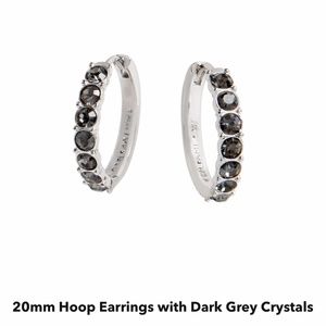 Origami Owl Hoop Earrings